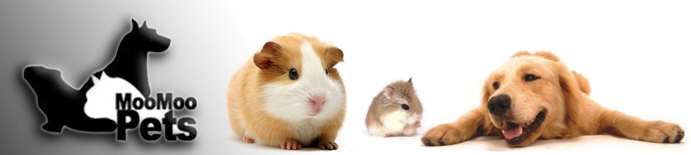 MOOMOOPETS.SG Singapore's Online Pet Shop